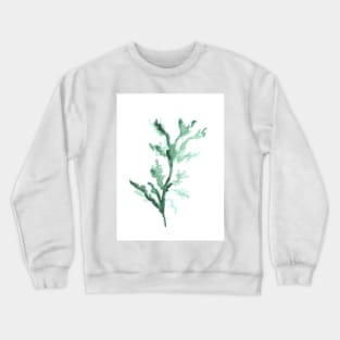 Watercolor green branch, plant, summer and nature, art decoration, sketch. Illustration hand drawn modern Crewneck Sweatshirt